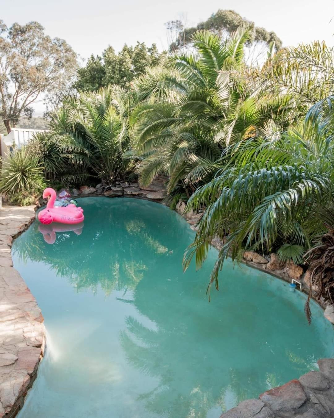 Thyme Wellness Spa And Guesthouse Cape Town Ngoại thất bức ảnh